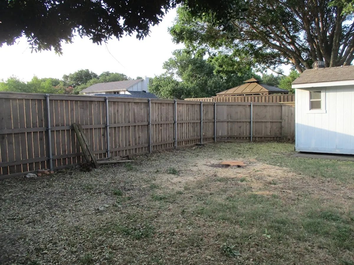 Cleared yard after professional tree removal in Gilman