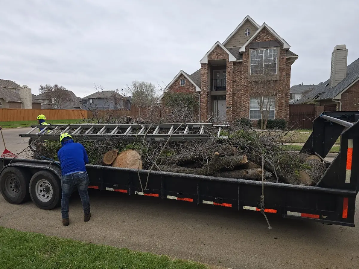 Expert Tree Fertilization with proper safety equipment in Gilman